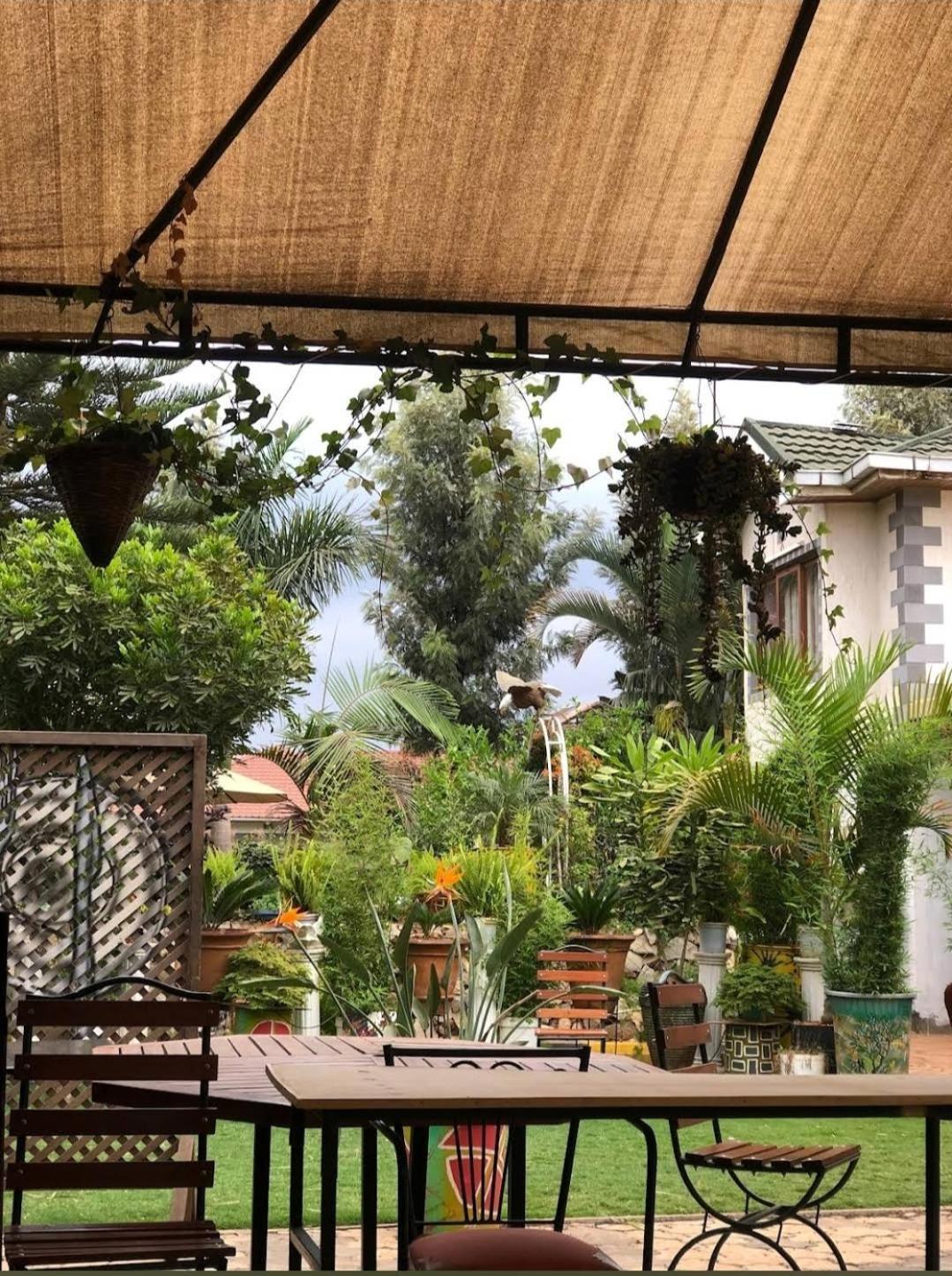 Plant House Hotel Ruiru Kültér fotó